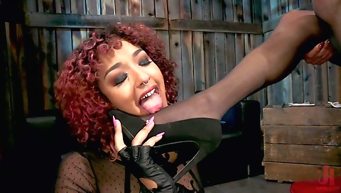 Free Shemale Fucks Girl Porn Videos - sextranscam.com